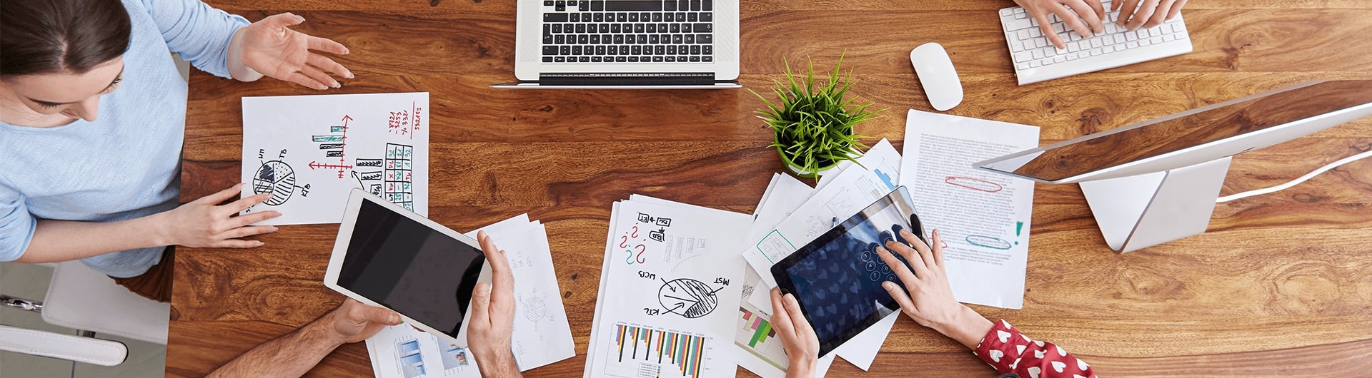 5 Things you must Learn before Applying for an Accountant Job